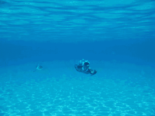 a man is swimming in the water with a shark in the background