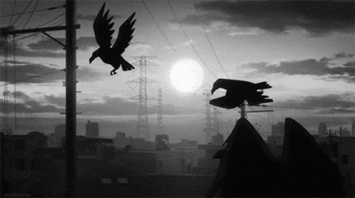 a black and white photo of two birds flying in front of a city
