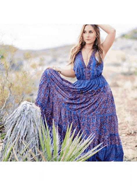 a woman in a blue and purple dress is standing next to a cactus in the desert .