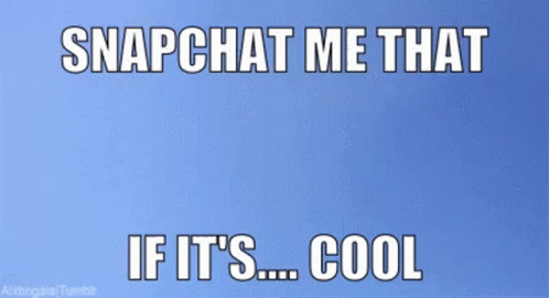 Snapchat Me That If Its Cool GIF - Snapchat Me That If Its Cool Cat GIFs