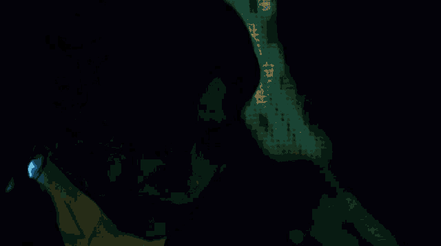 Dir En Grey Toshiya GIF