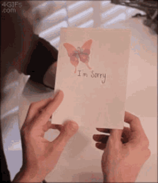 a person is holding a card that says i 'm sorry with a butterfly on it
