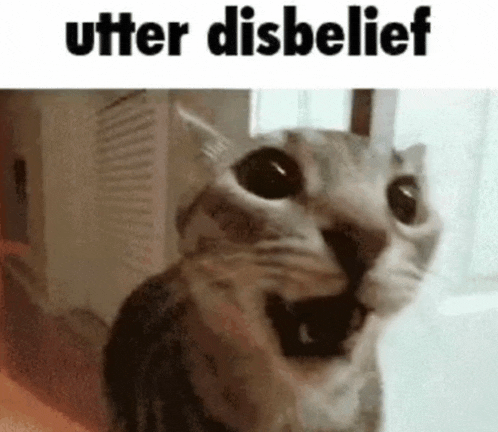 a cat is looking at the camera with its mouth open and the words `` utter disbelief '' written above it .