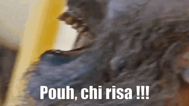a close up of a dog 's face with pouh chi risa written on it