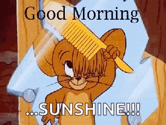 jerry from tom and jerry is brushing his hair with a comb in front of a mirror .