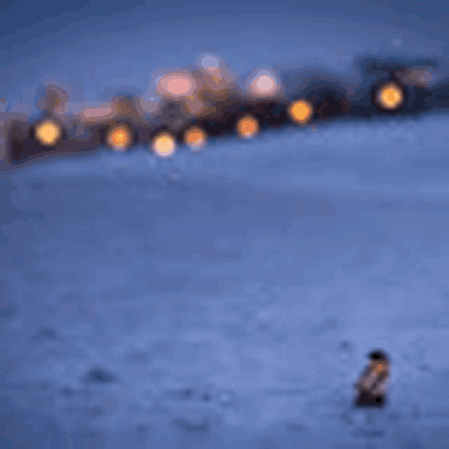 a blurry picture of a person standing in the snow with a train in the background .