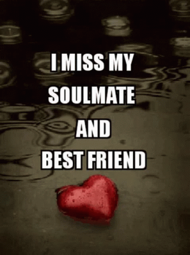 I Miss My Soulmate And Bestfriend GIF - I Miss My Soulmate And Bestfriend GIFs
