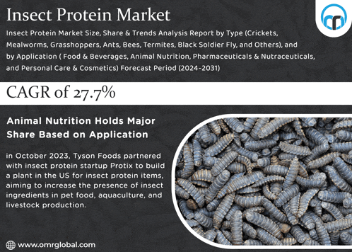 an advertisement for insect protein market with a picture of insects