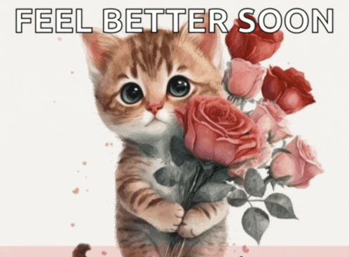 a kitten is holding a bouquet of pink roses with the words feel better soon above it