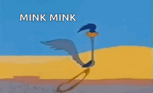 Road Runner Mink GIF - Road Runner Mink Mink Mink GIFs