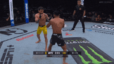 two fighters are fighting in a ring with bud light advertisements on the walls
