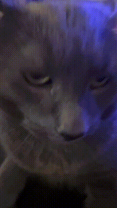 a close up of a blue light on a black surface