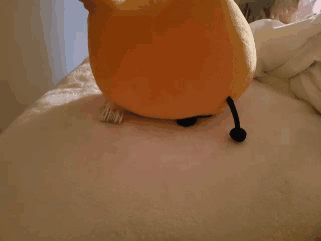 a stuffed animal with a tag that says ' a ' on it