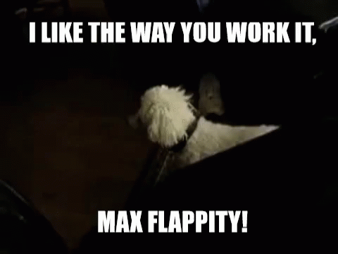 Dog Like The Way You Work It GIF - Dog Like The Way You Work It Shake GIFs