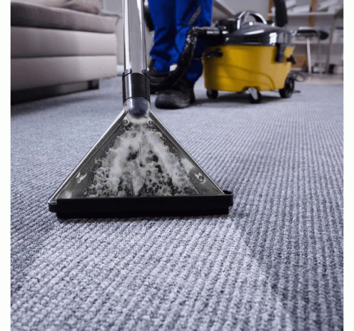Carpet And Upholstery Cleaning In Evesham Commercial Carpet Cleaning In Evesham GIF - Carpet And Upholstery Cleaning In Evesham Commercial Carpet Cleaning In Evesham GIFs