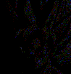 Goku Gokushadow GIF - Goku Gokushadow Goku In Shadows GIFs