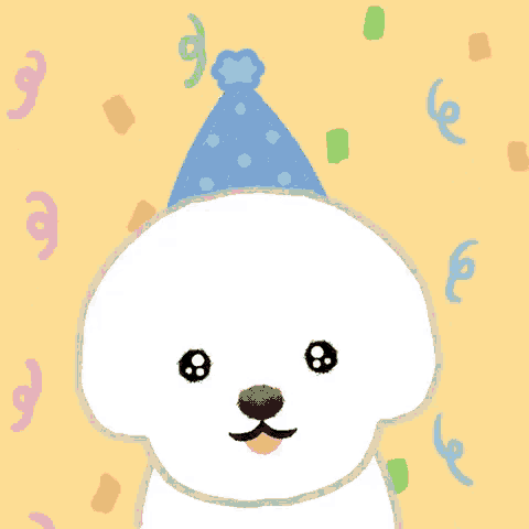 a small white dog wearing a blue party hat