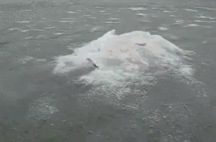 I Wanted To Break The Ice GIF