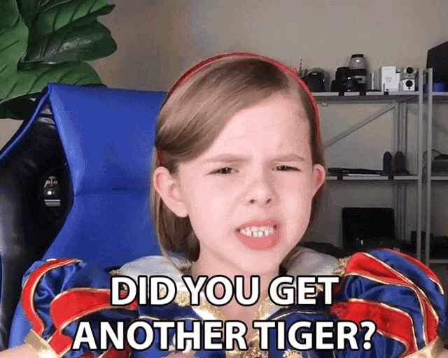 Did You Get Another Tiger Claire Crosby GIF - Did You Get Another Tiger Claire Crosby The Crosbys GIFs