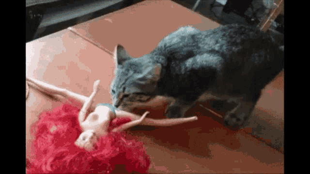 a cat is playing with a red haired barbie doll