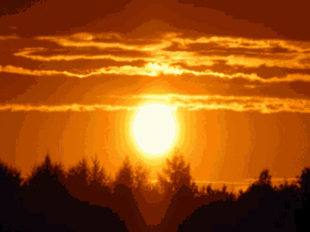 a sunset with the sun shining through the clouds and trees in the foreground