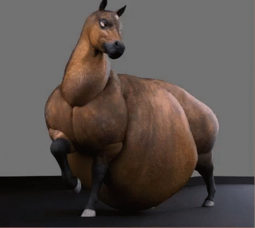 Horse Fat GIF