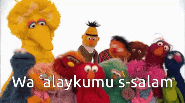 a group of sesame street characters are gathered together
