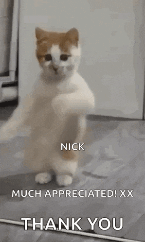 a cat is standing on its hind legs and waving its paws in the air .