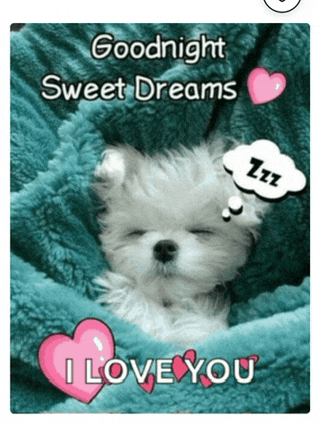 a puppy is sleeping under a blanket with the words goodnight sweet dreams i love you on it