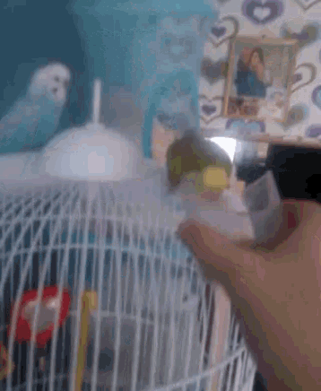 a person is holding a bird in a cage with a picture of a person in the background
