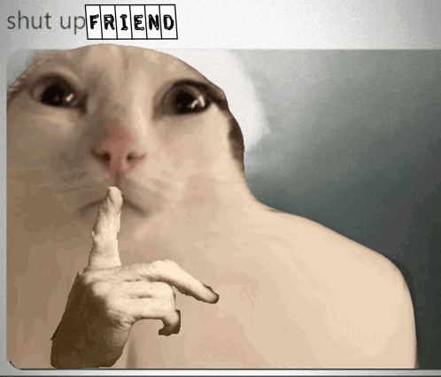 Nepunator Cat GIF - Nepunator Cat Shut Up GIFs