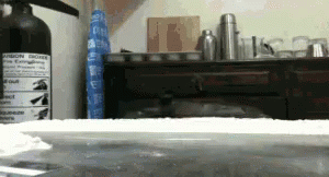 Snorting Coke GIF - Snorting Coke Vacuum GIFs