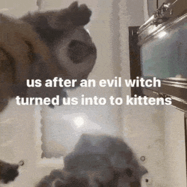 Us After An Evil Witch GIF - Us After An Evil Witch GIFs