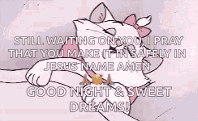 a cat with a pink bow on its head is laying on a person 's lap and says good night and sweet dreams