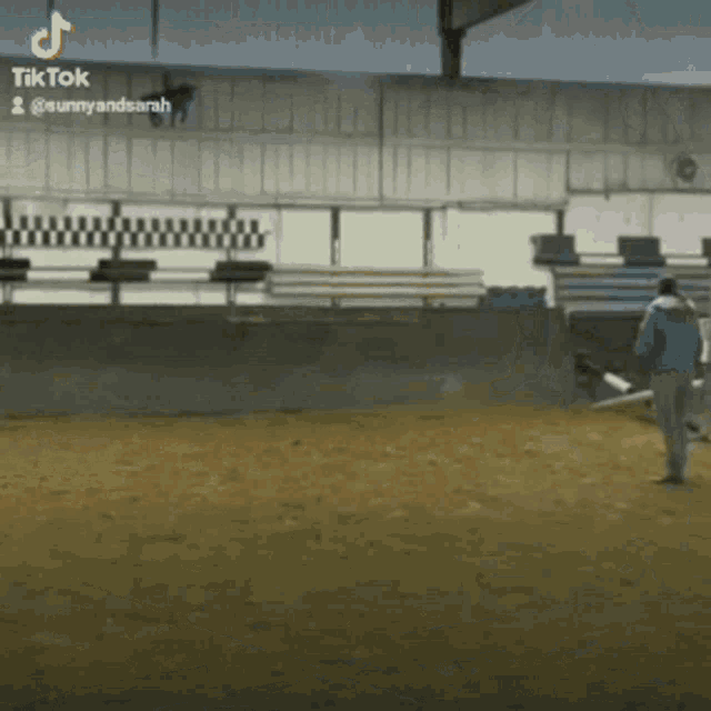 a tiktok video of a person riding a horse with the hashtag sunnyandsarah