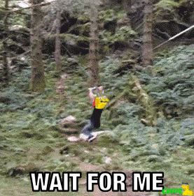 a picture of a person in the woods with the words wait for me below them