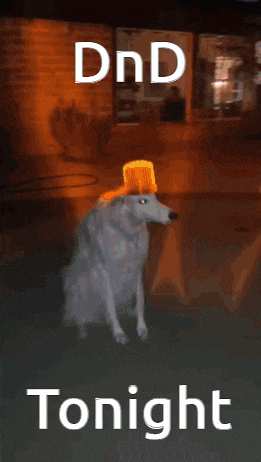 a dog wearing a bucket on its head with the words dnd tonight written on it .