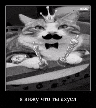 a cat with a crown and mustache is holding two oscar statues