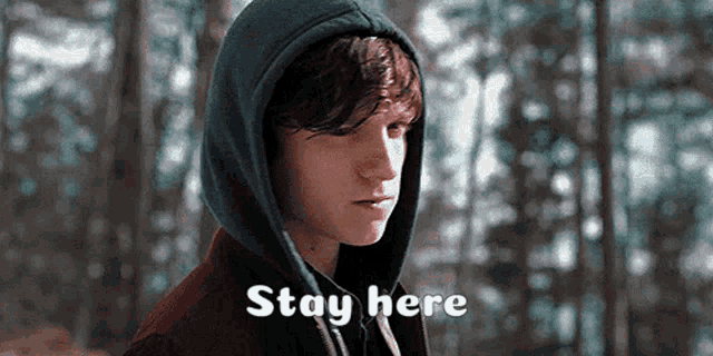 a young man in a hoodie is standing in the woods with the words stay here above him .