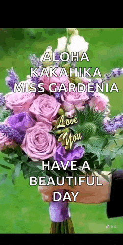 a person is holding a bouquet of purple and pink flowers in their hands .