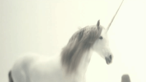 Unicorns GIF - Unicorns GIFs