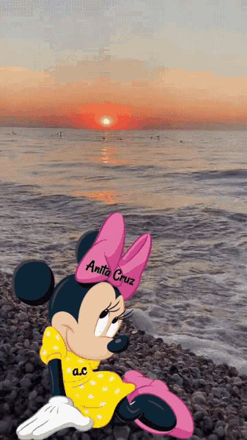 a cartoon of minnie mouse with the name anita cruz written on her head