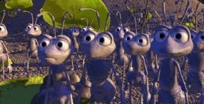 a bunch of ants are standing next to each other in a field .