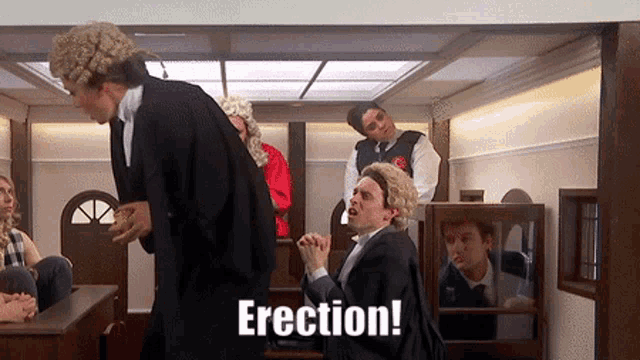 a man in a wig says erection in front of a group of people in a courtroom