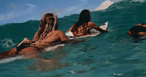 Surf GIF - Surf Swim GIFs