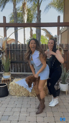 Cowgirls Rodeo GIF - Cowgirls Rodeo GIFs