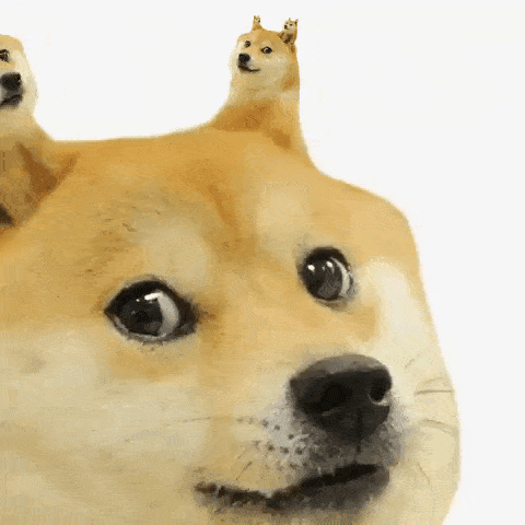 a dog with two other dogs on its head .