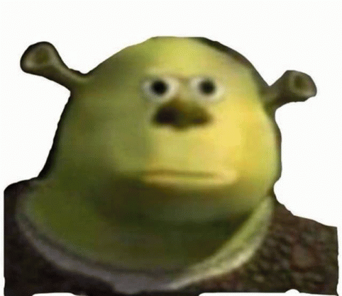 Shrek Shrekowski GIF - Shrek Shrekowski Meme GIFs