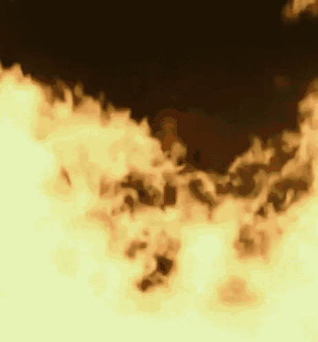 Apes Fire GIF - Apes Fire GIFs