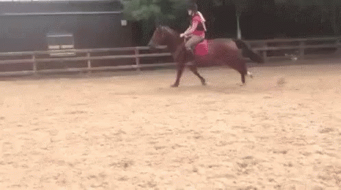 Not Today B*tch GIF - Horseback Riding Not Today Bitch Not Today GIFs